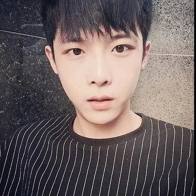 蒲启曼俊