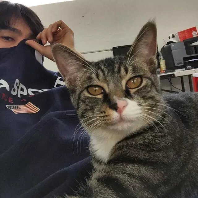 何瑗宽家