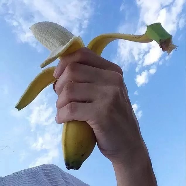 甄维先雄