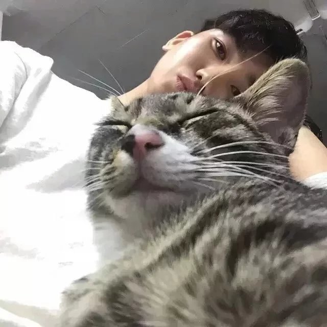 公孙清波琼