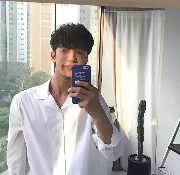 胡绿怡紫